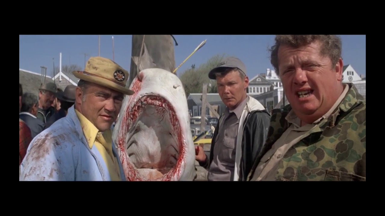 Jaws - What Kind of Shark?